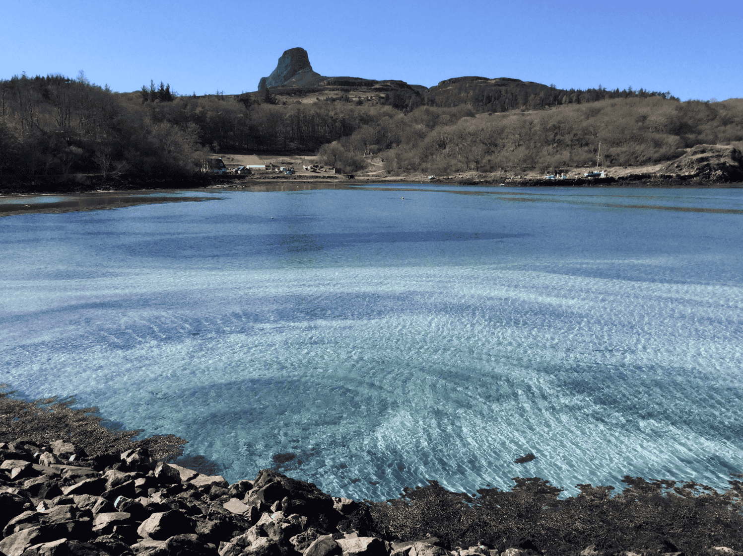 Related image (left)