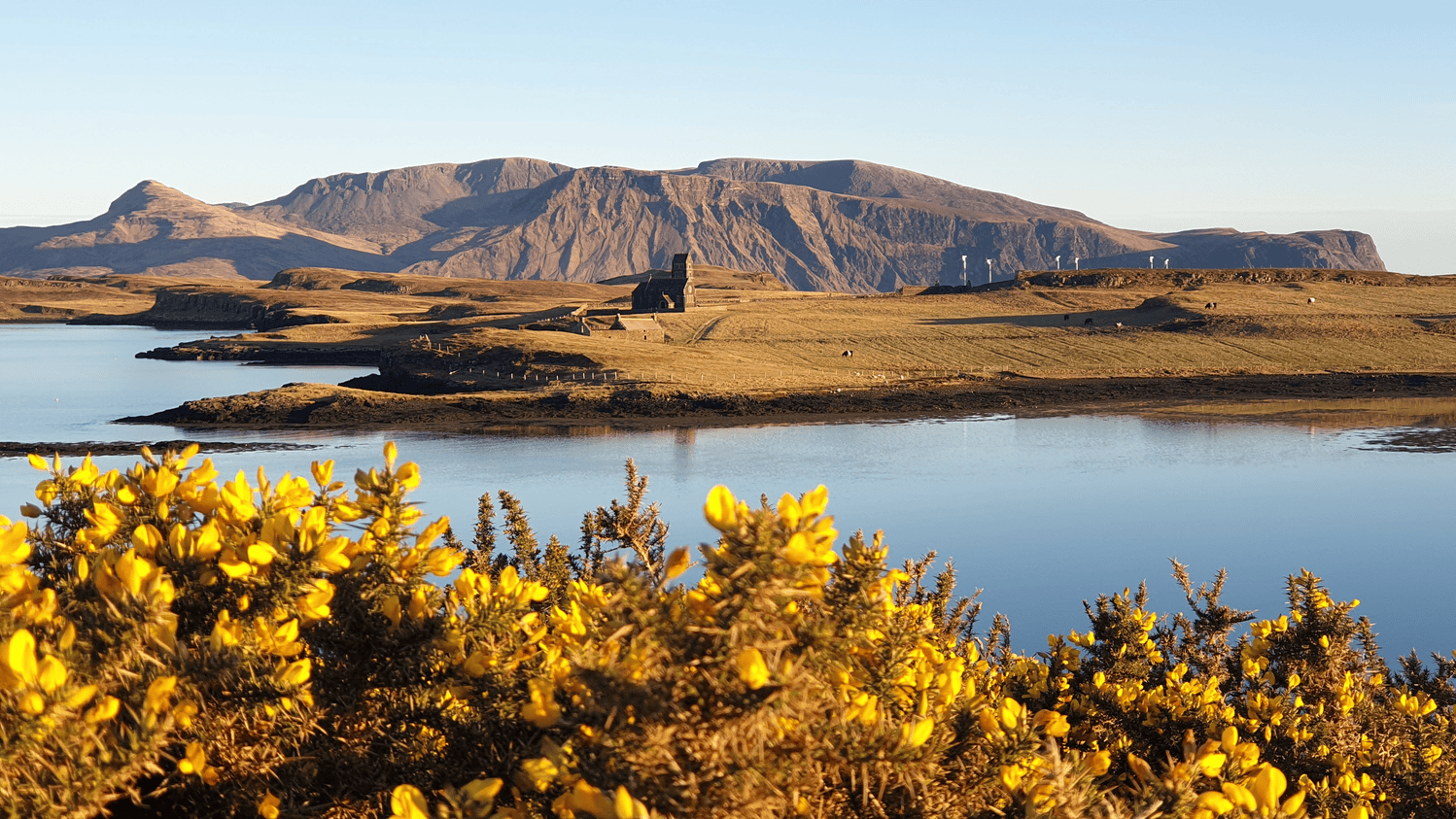 Related image (left)